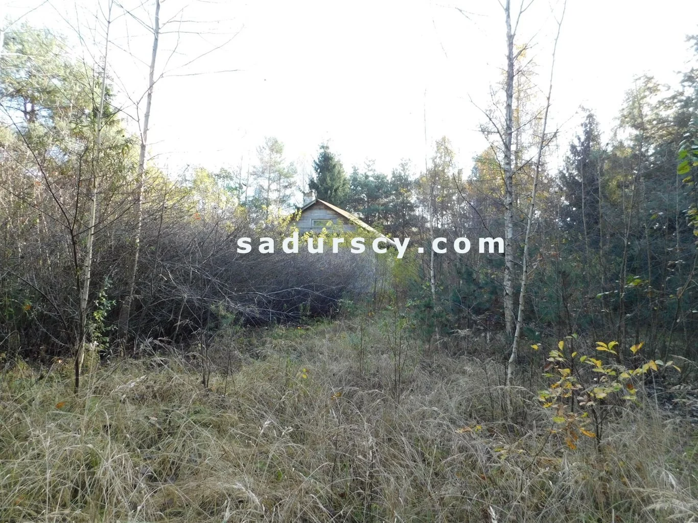 Działka 4 100,00 m², oferta nr , BS8-GS-263796-108, Prażmów