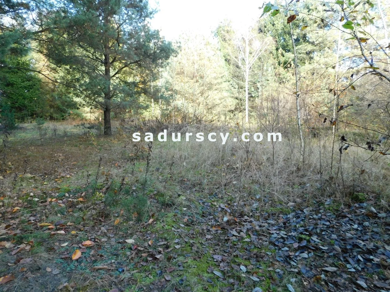 Działka 4 100,00 m², oferta nr , BS8-GS-263796-108, Prażmów
