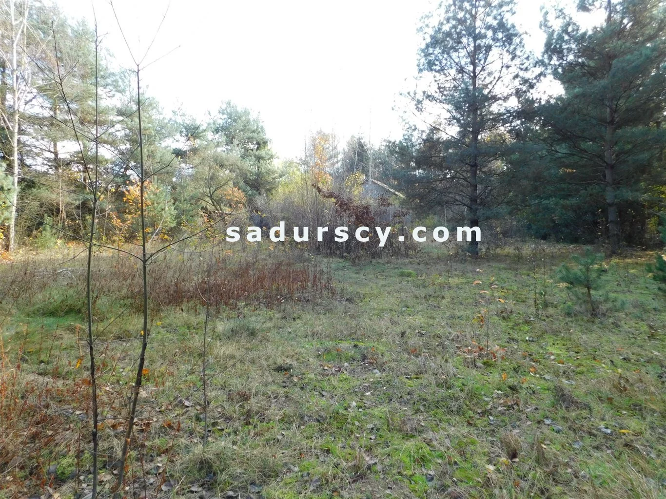 Działka 4 100,00 m², oferta nr , BS8-GS-263796-108, Prażmów