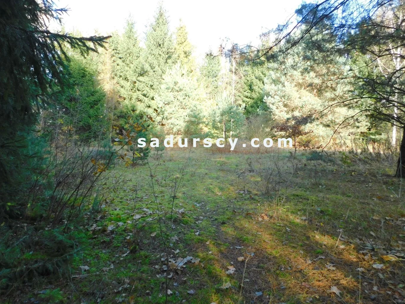 Działka 4 100,00 m², oferta nr , BS8-GS-263796-109, Prażmów