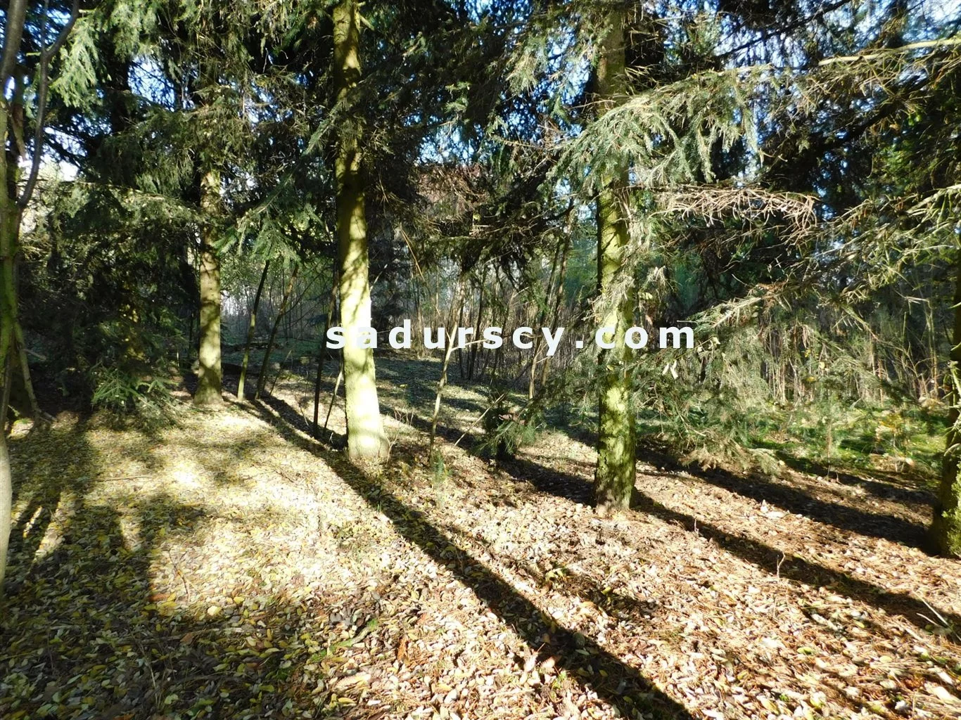Działka 4 100,00 m², oferta nr , BS8-GS-263796-109, Prażmów