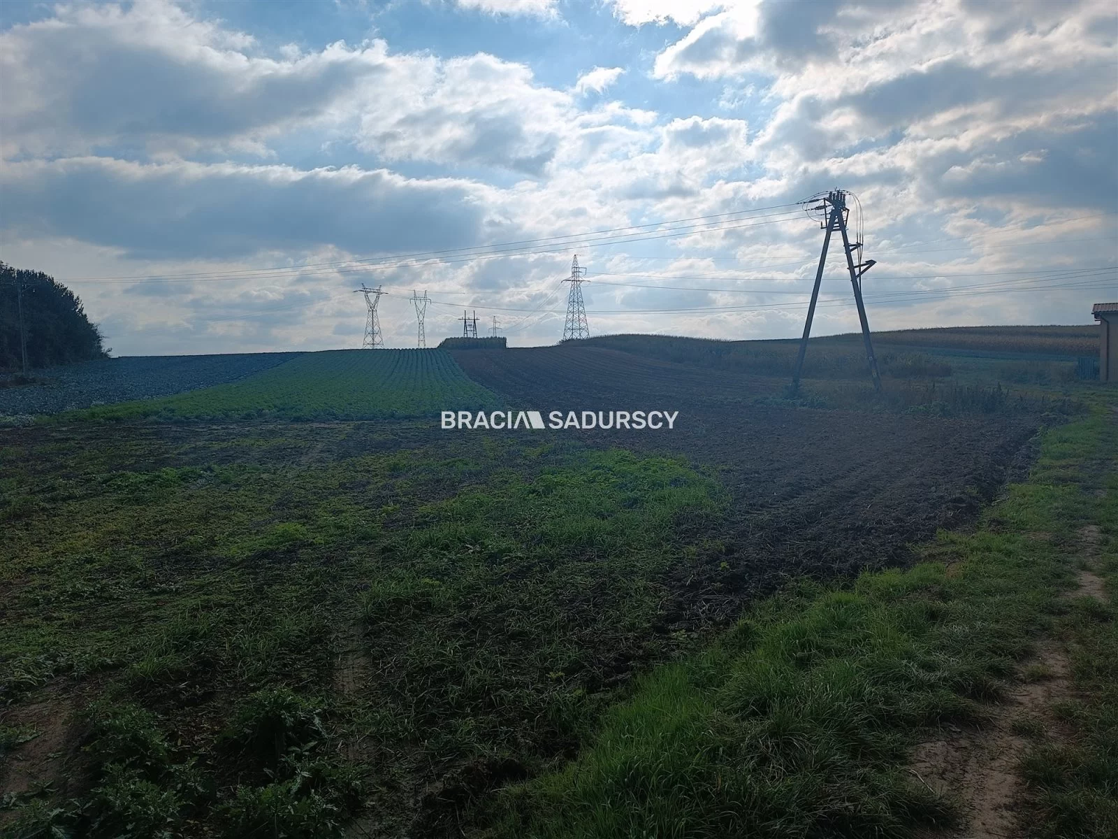 Działka 9 901,00 m², oferta nr , BS1-GS-312214, Proszowice