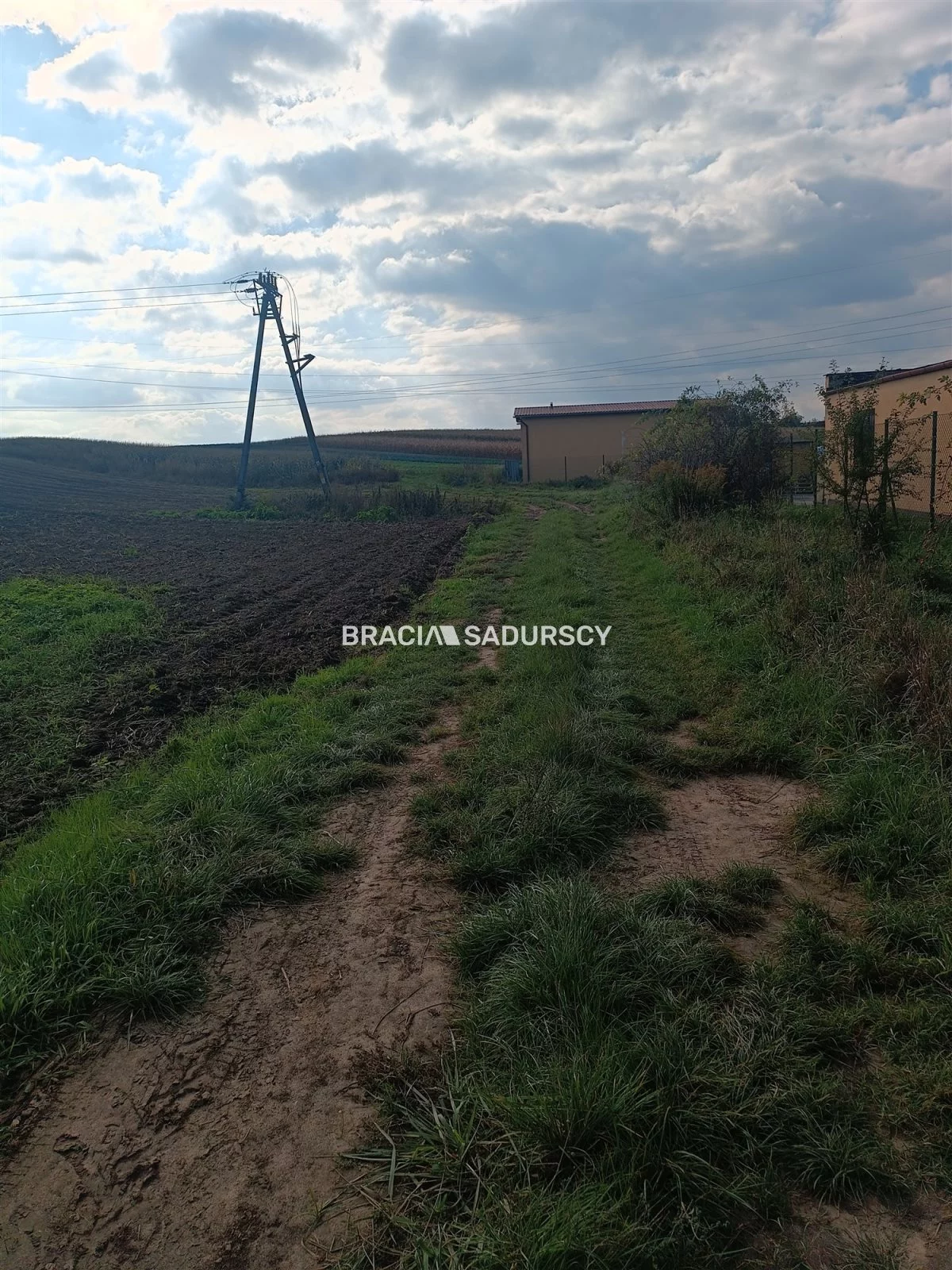 Działka 9 901,00 m², oferta nr , BS1-GS-312214, Proszowice