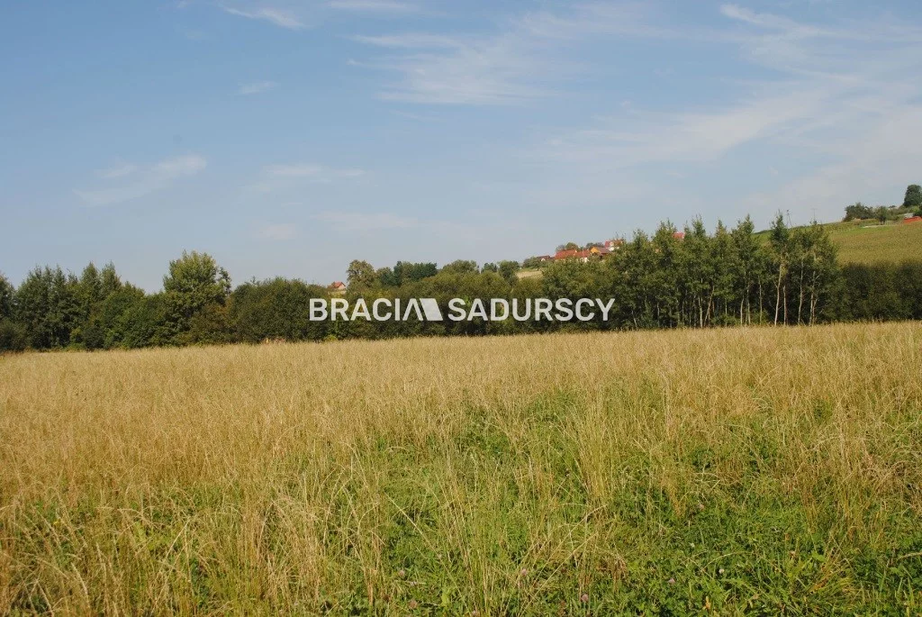BS1-GS-309590-418 - zdjęcie nr 2