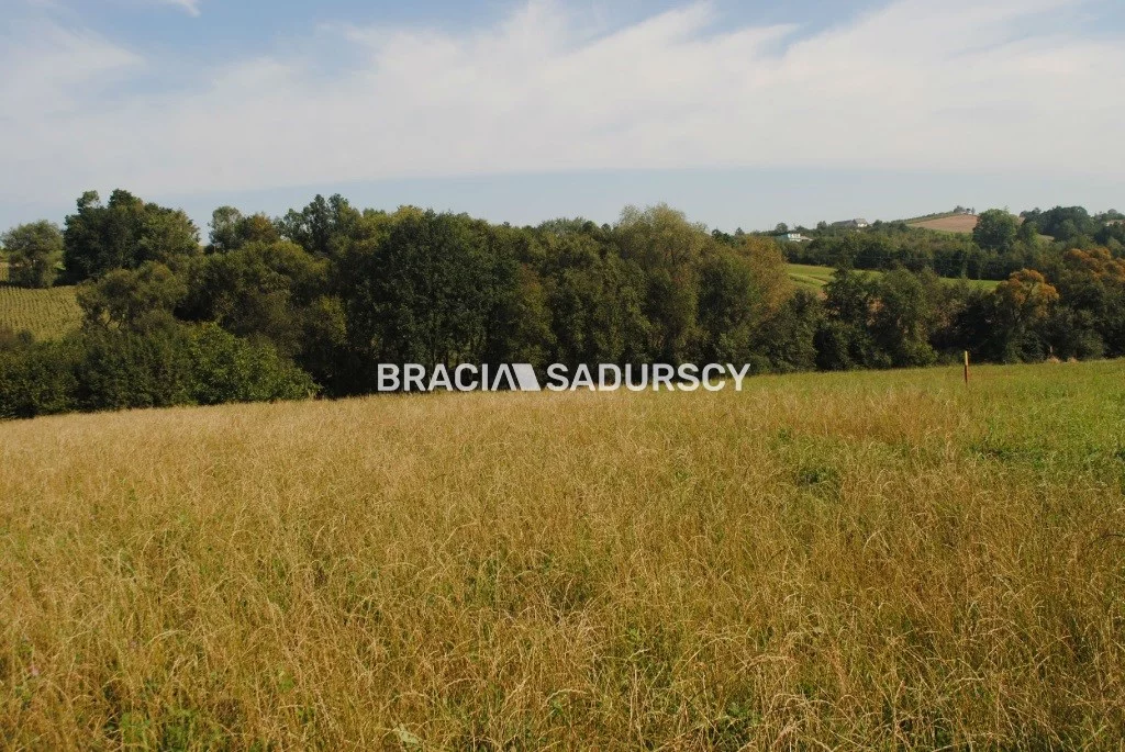 BS1-GS-309590-418 - zdjęcie nr 4