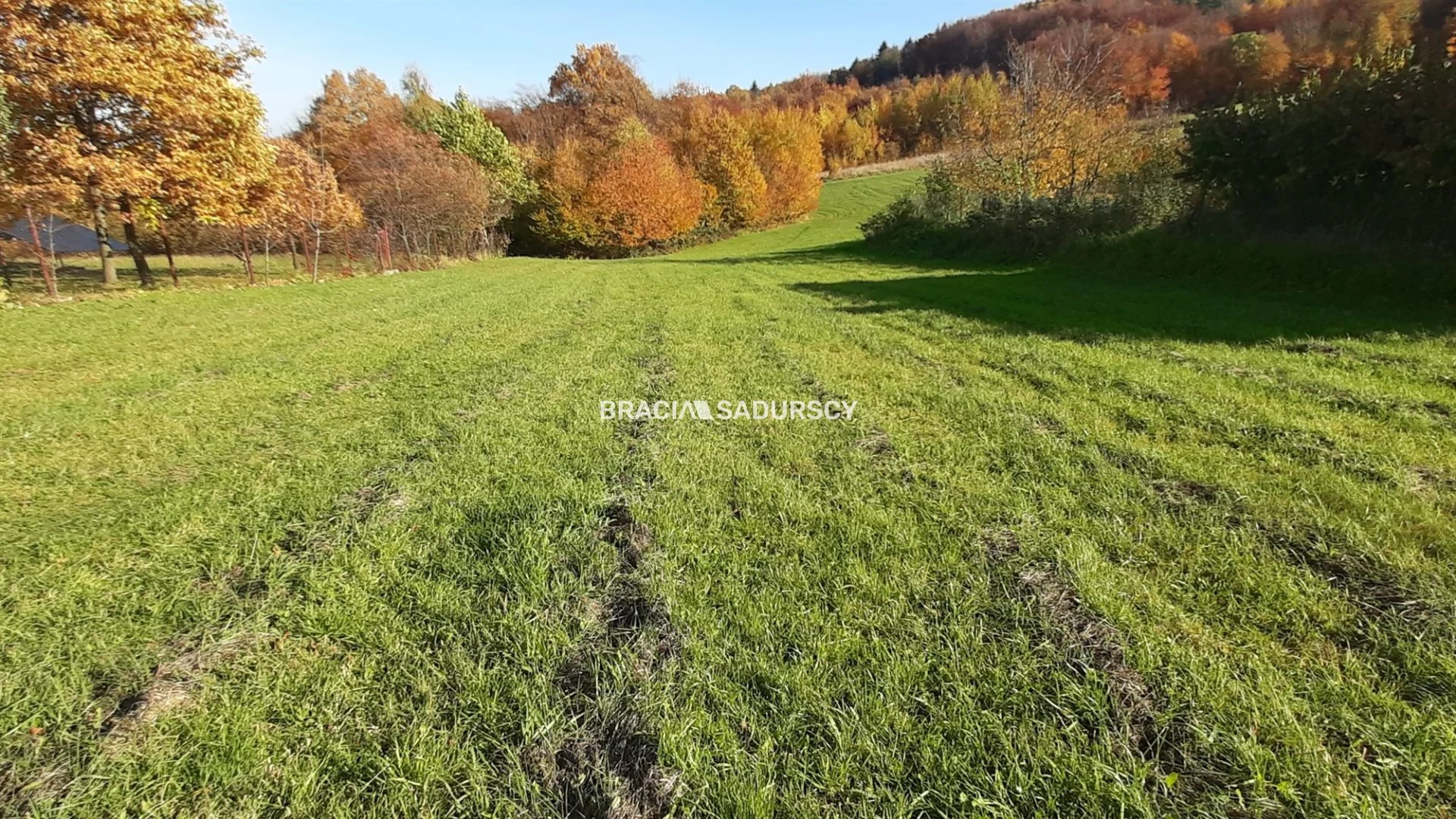 BS5-GS-295123-139 - zdjęcie nr 4