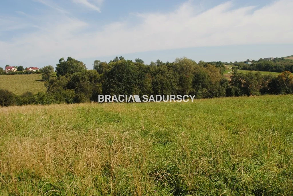BS1-GS-309590-420 - zdjęcie nr 0