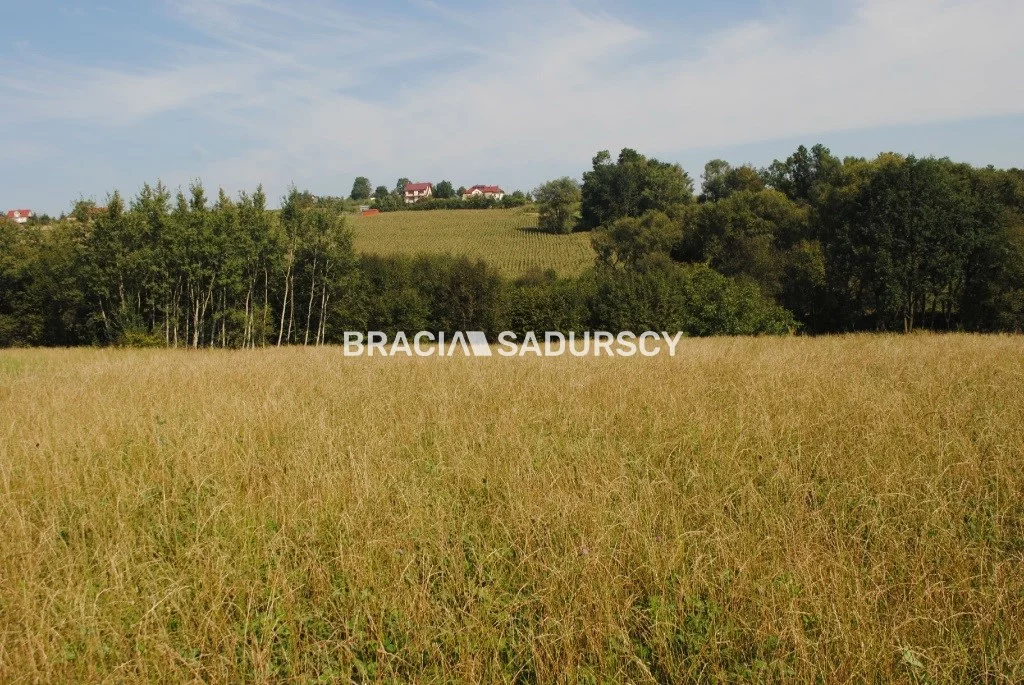 BS1-GS-309590-420 - zdjęcie nr 3