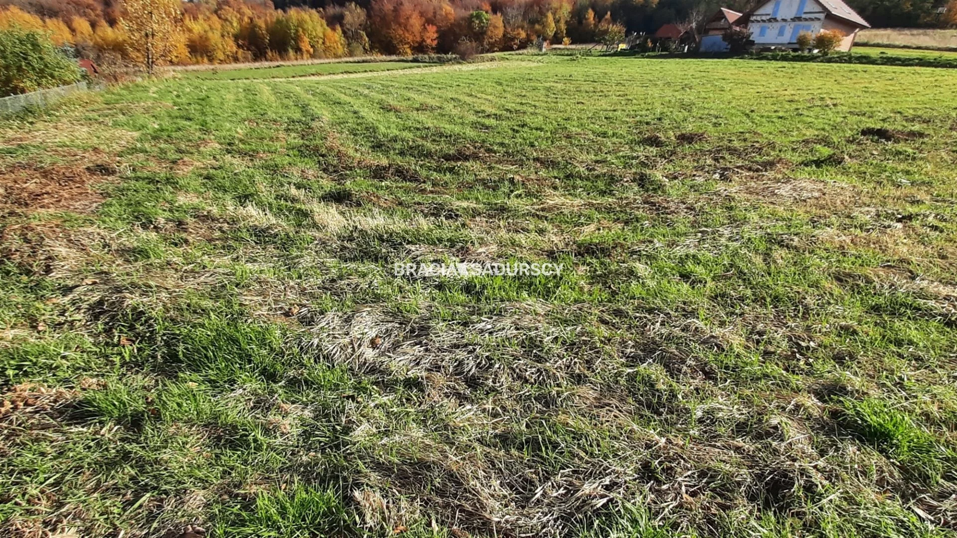 Działka 7 000,00 m², oferta nr , BS5-GS-295123-142, Raciechowice