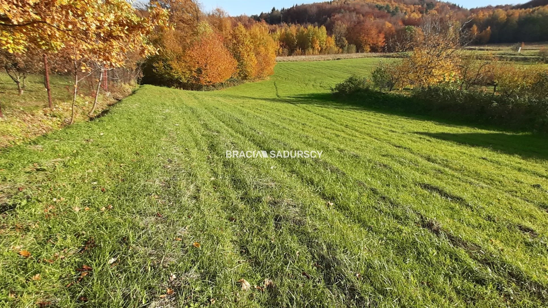 Działka 7 000,00 m², oferta nr , BS5-GS-295123-142, Raciechowice