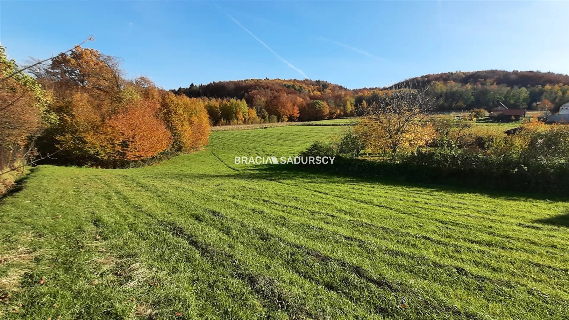 Działka 7 000,00 m², oferta nr , BS5-GS-295123-142, Raciechowice
