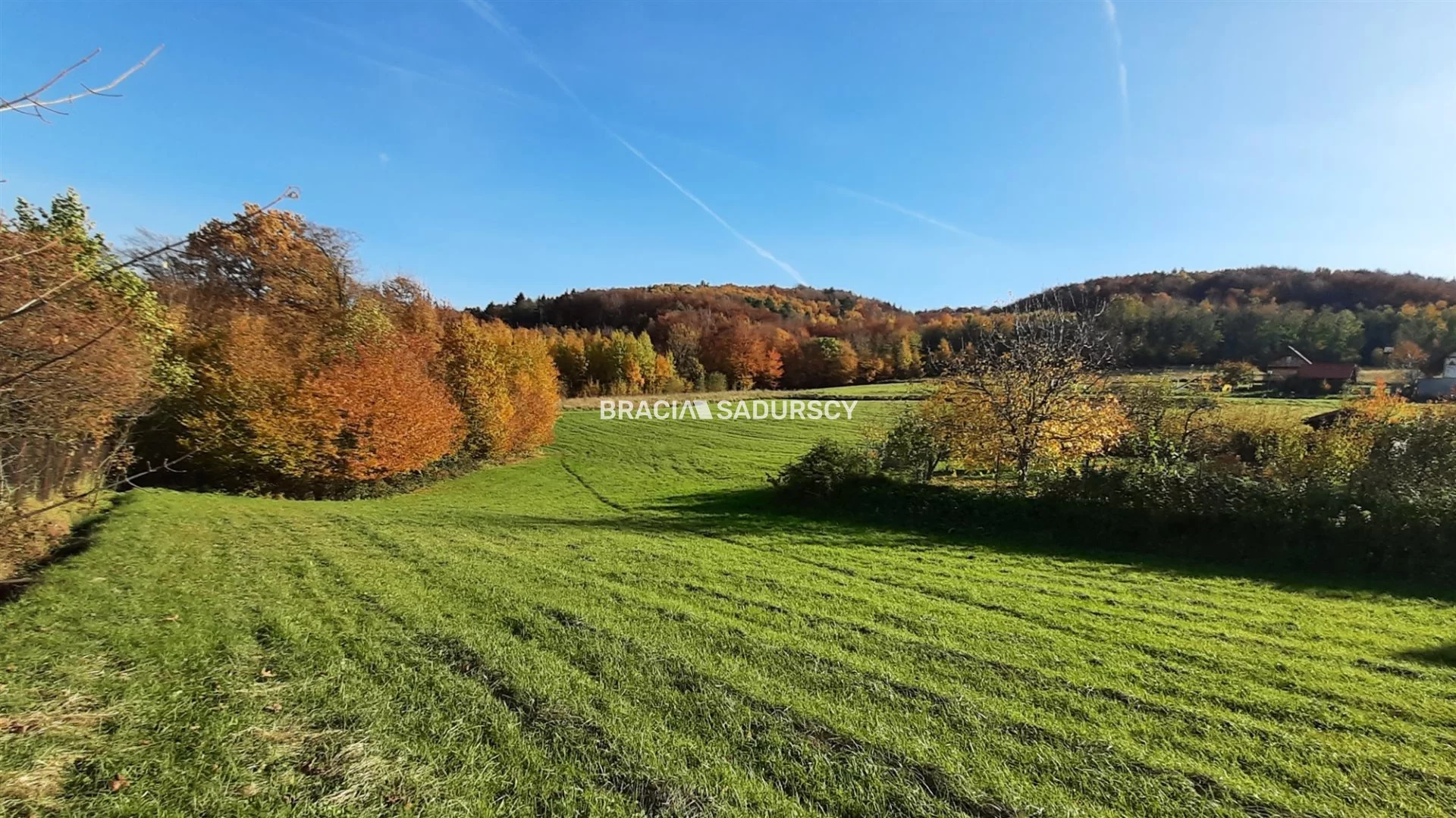 Działka 7 000,00 m², oferta nr , BS5-GS-295123-142, Raciechowice