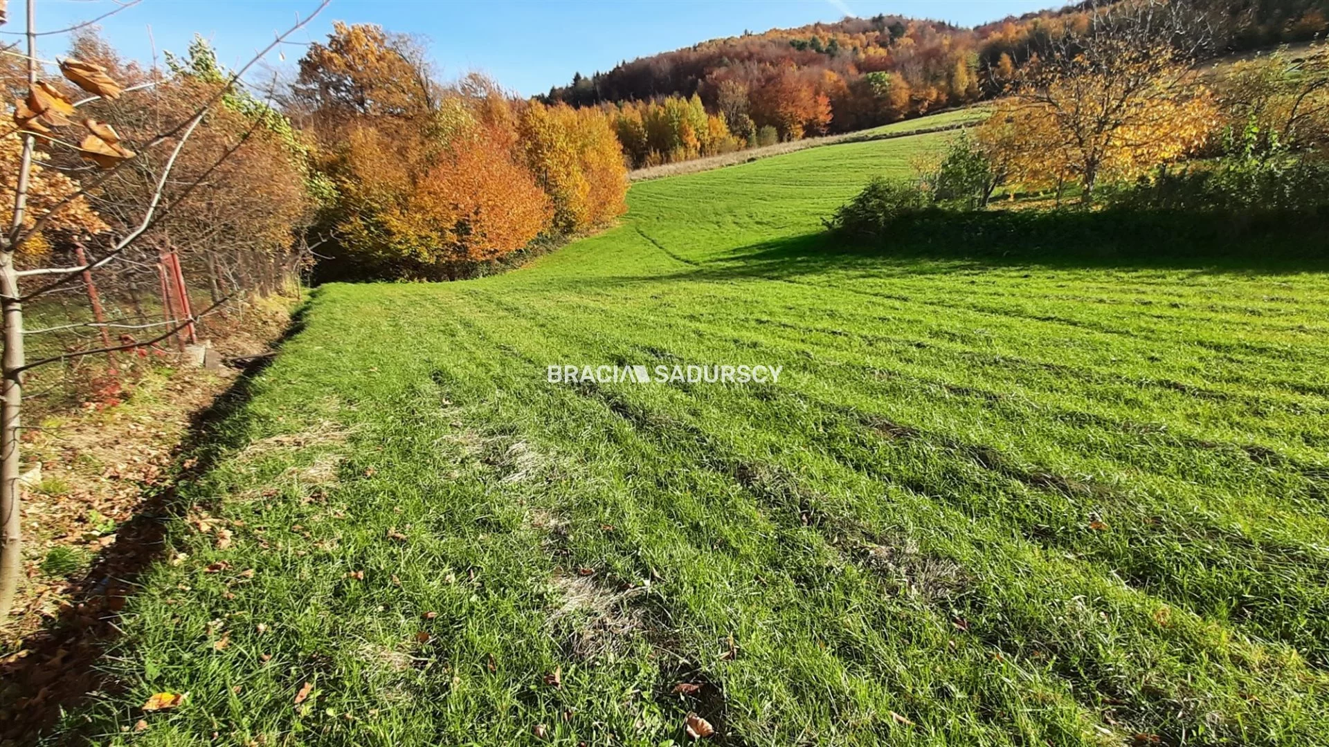 Działka 7 000,00 m², oferta nr , BS5-GS-295123-142, Raciechowice