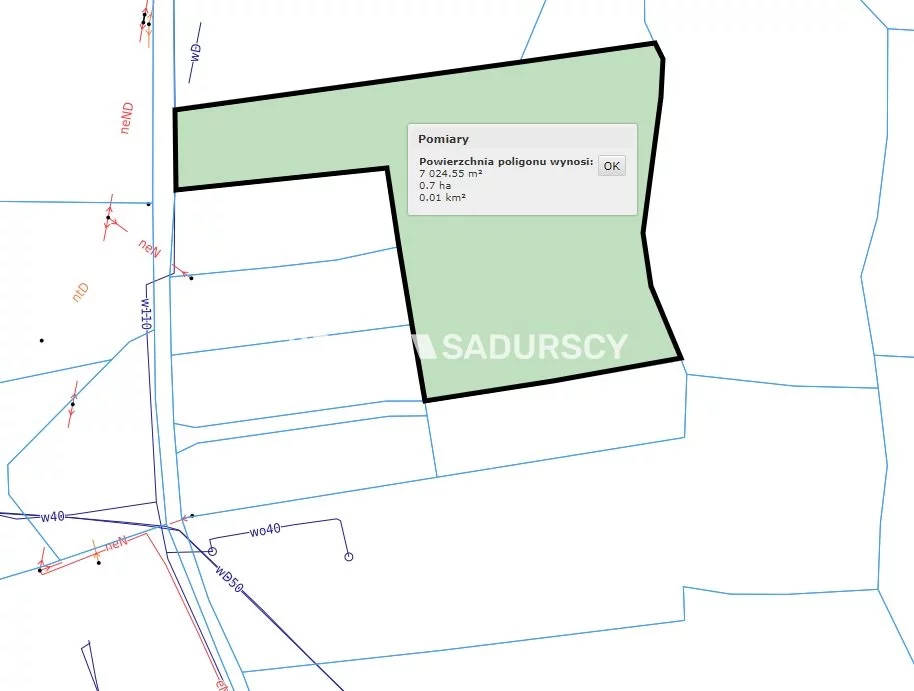 Działka 7 000,00 m², oferta nr , BS5-GS-295123-142, Raciechowice