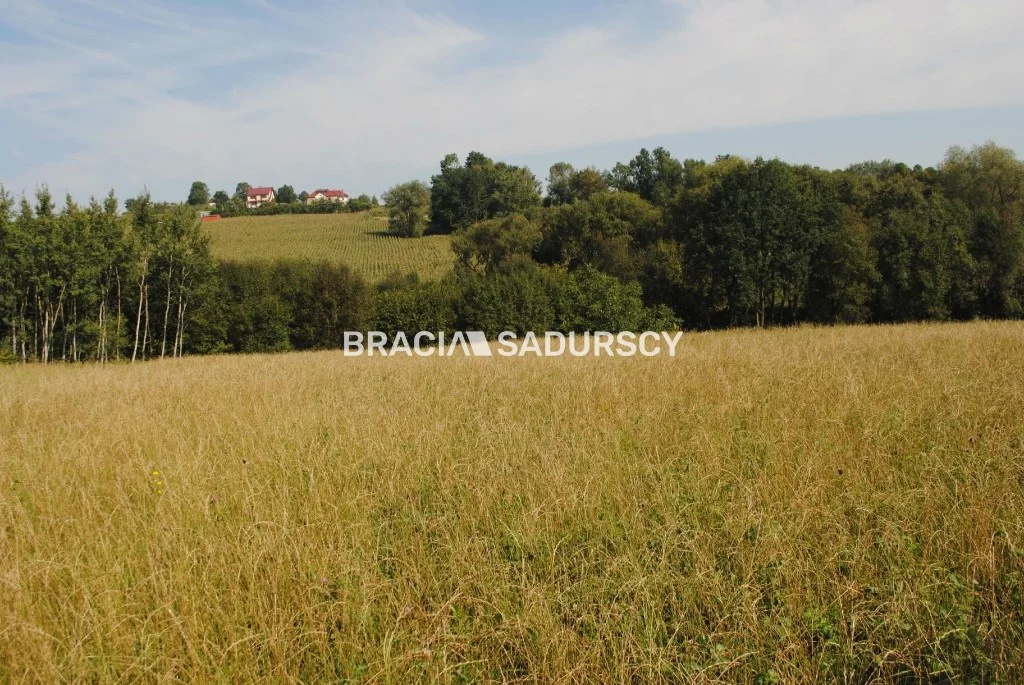 Działka 9 200,00 m², oferta nr , BS1-GS-309590-426, Raciechowice
