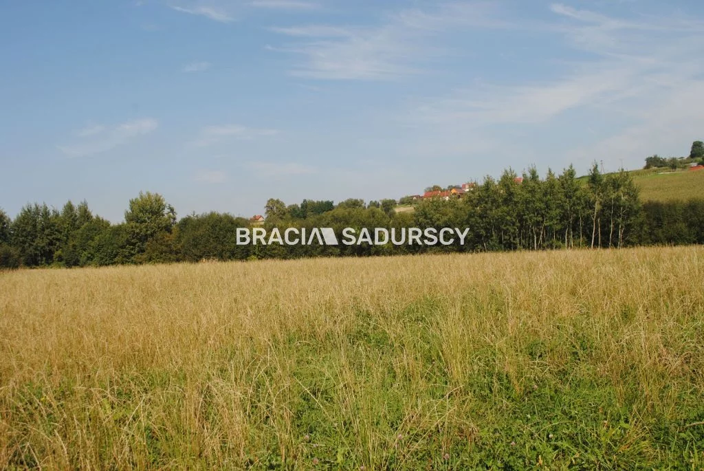 BS1-GS-312657-432 - zdjęcie nr 2