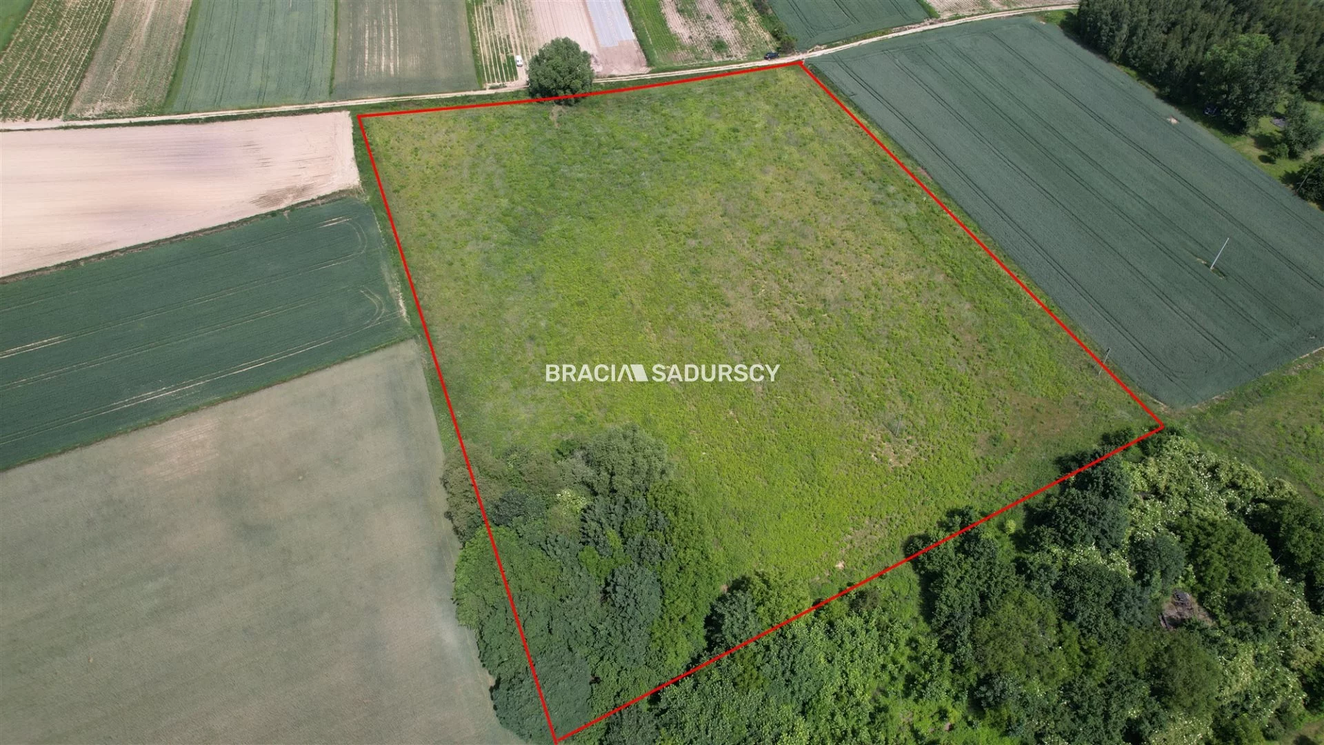 Działka 22 406,00 m², oferta nr , BS5-GS-310375-9, Rawałowice