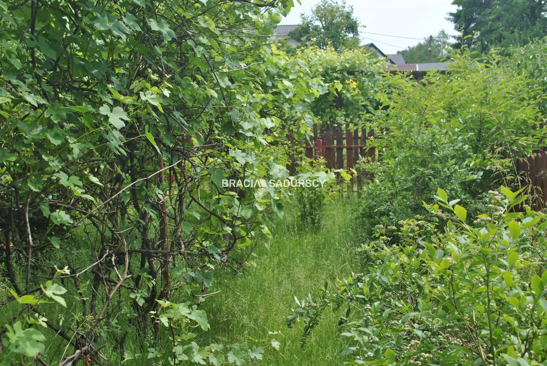 BS1-GS-309615-52 - zdjęcie nr 0