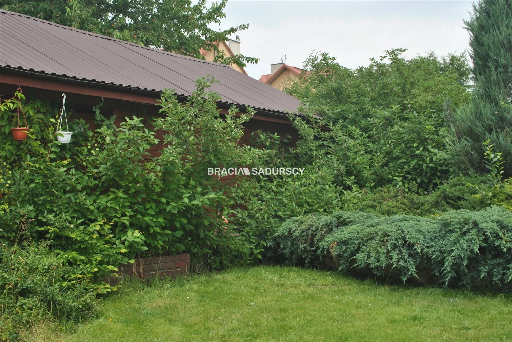 BS1-GS-309615-54 - zdjęcie nr 2