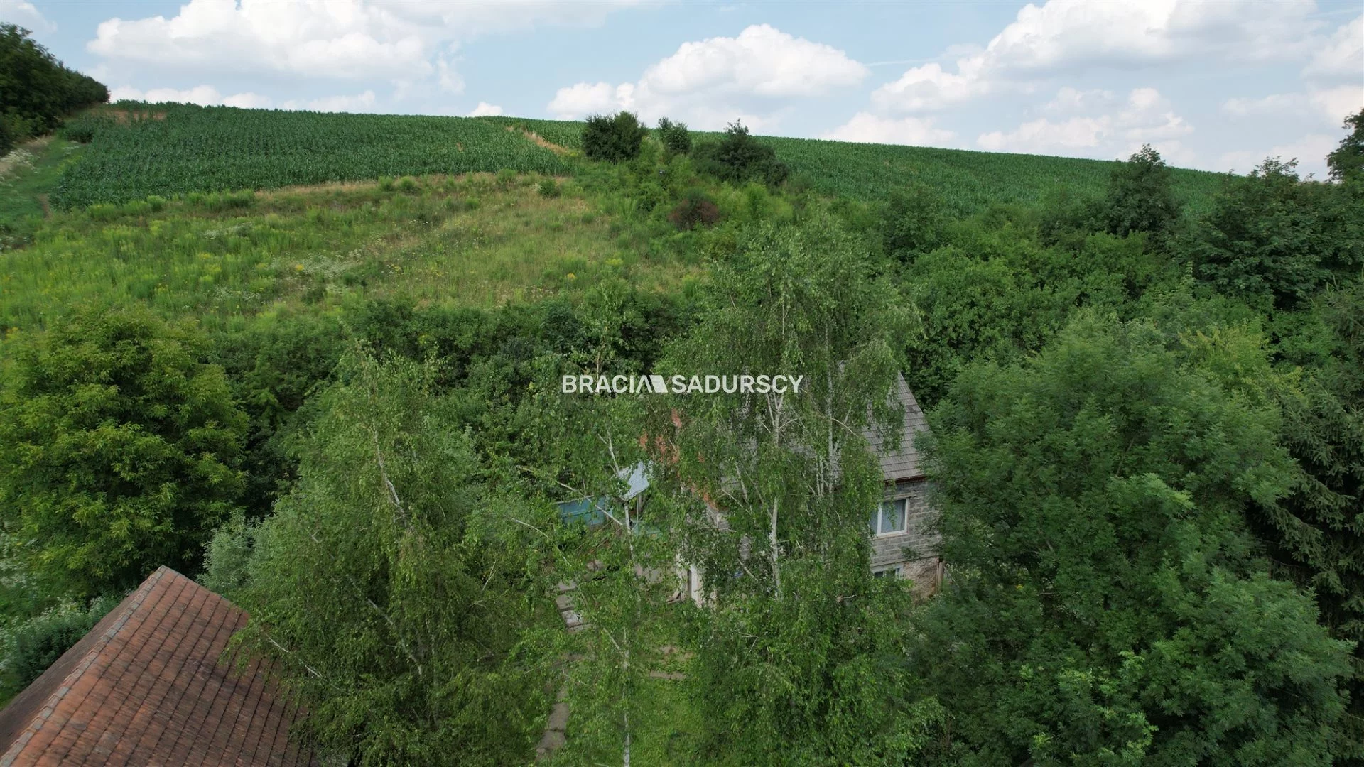 BS5-GS-306596-42 - zdjęcie nr 0
