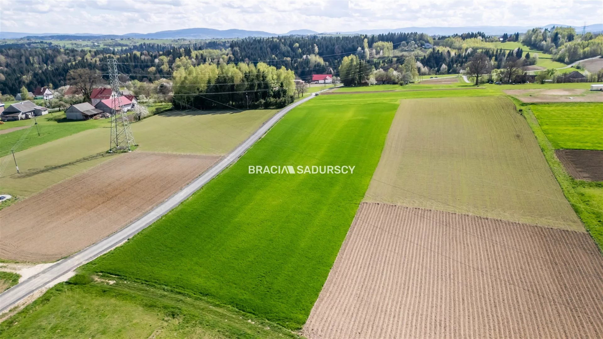 Działka 5 800,00 m², oferta nr , BS3-GS-308636, Rzepiennik Strzyżewski