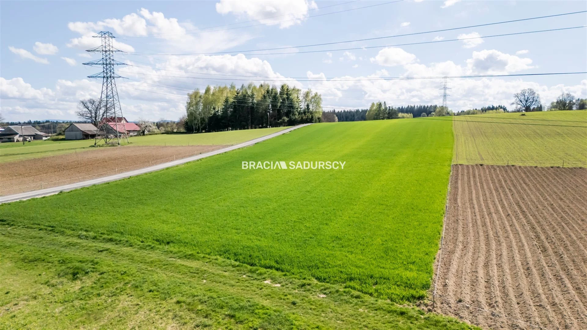 Działka 5 800,00 m², oferta nr , BS3-GS-308636, Rzepiennik Strzyżewski