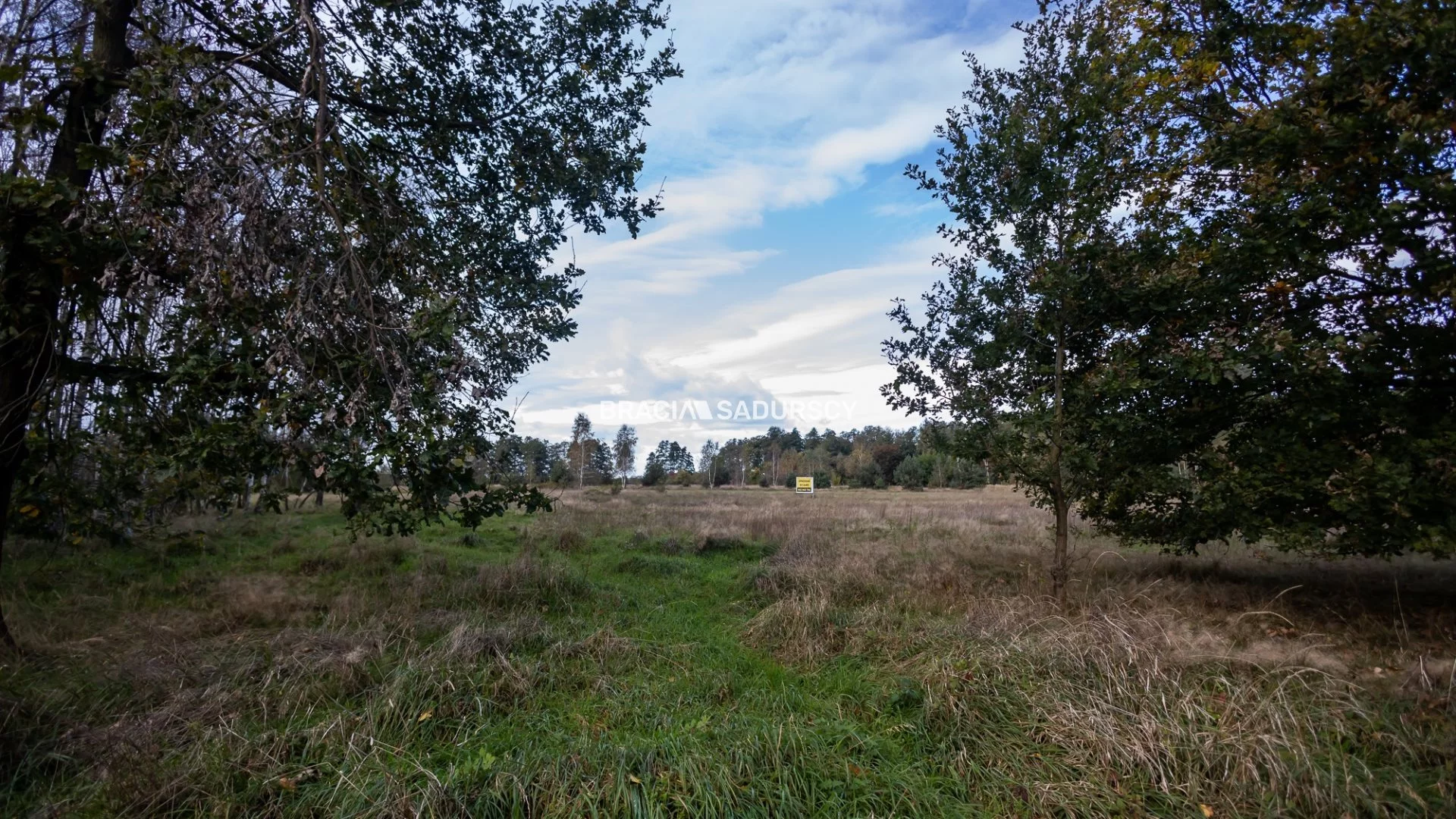 BS5-GS-297071-69 - zdjęcie nr 4