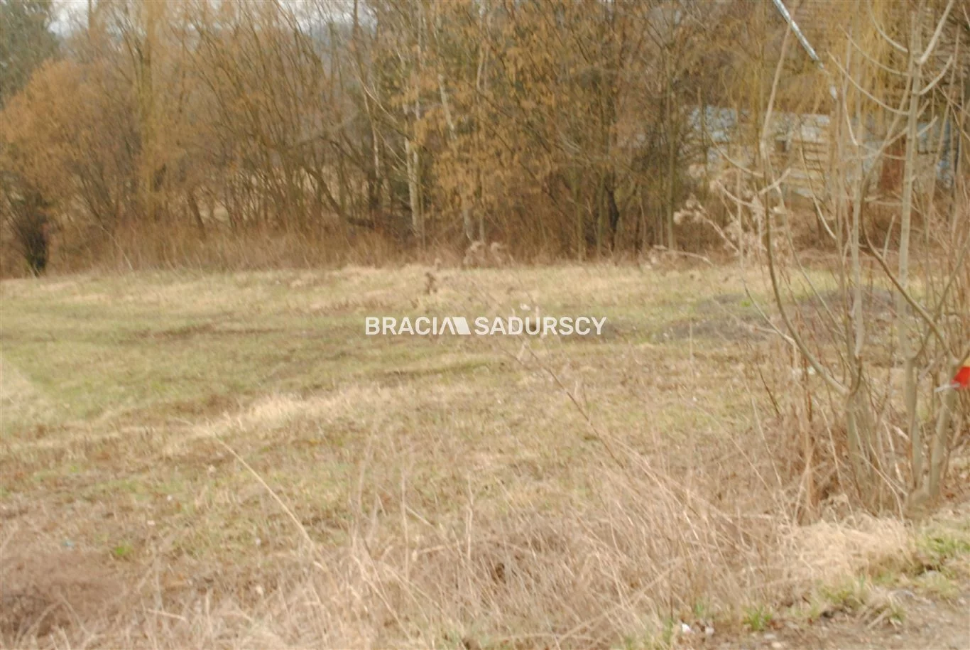 BS1-GS-309580-252 - zdjęcie nr 0