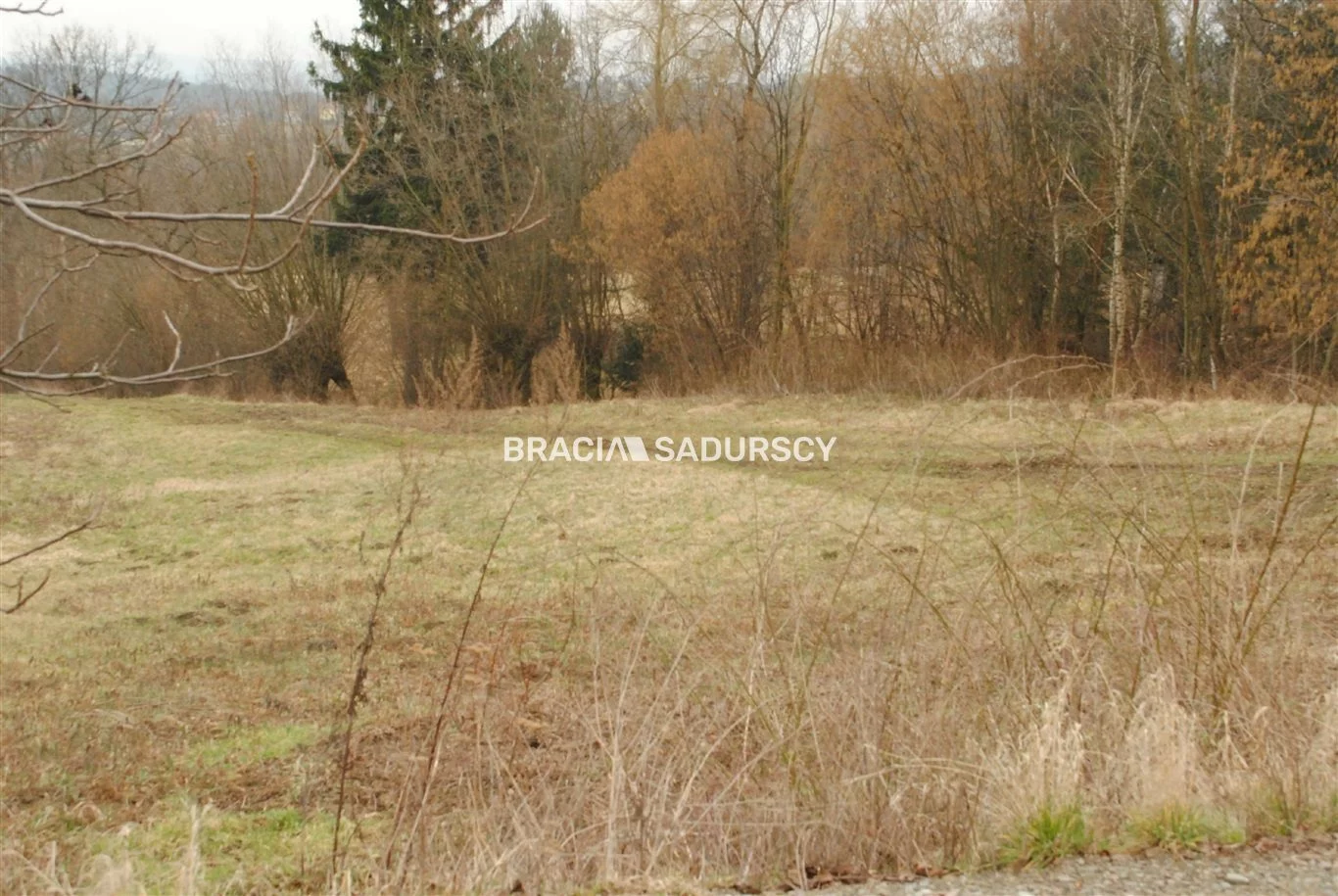 BS1-GS-309580-252 - zdjęcie nr 2