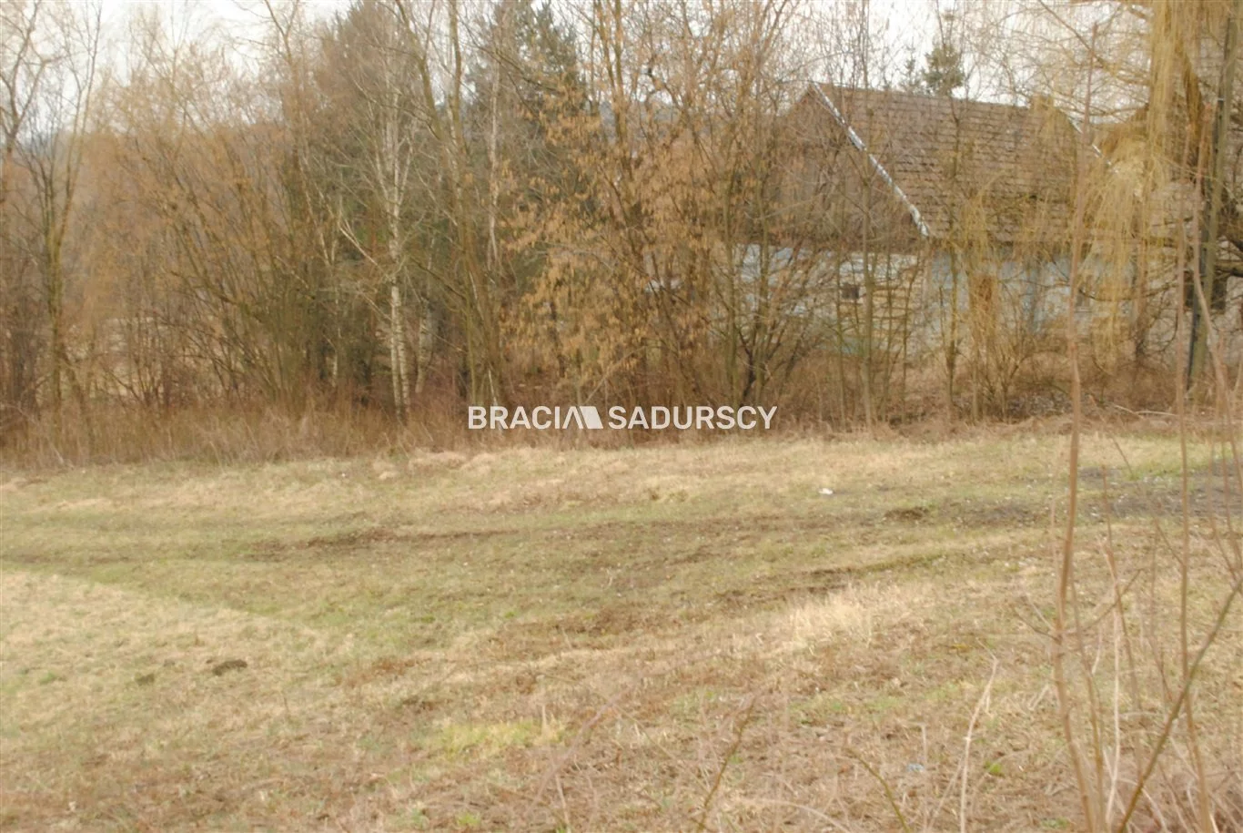 BS1-GS-309580-252 - zdjęcie nr 3