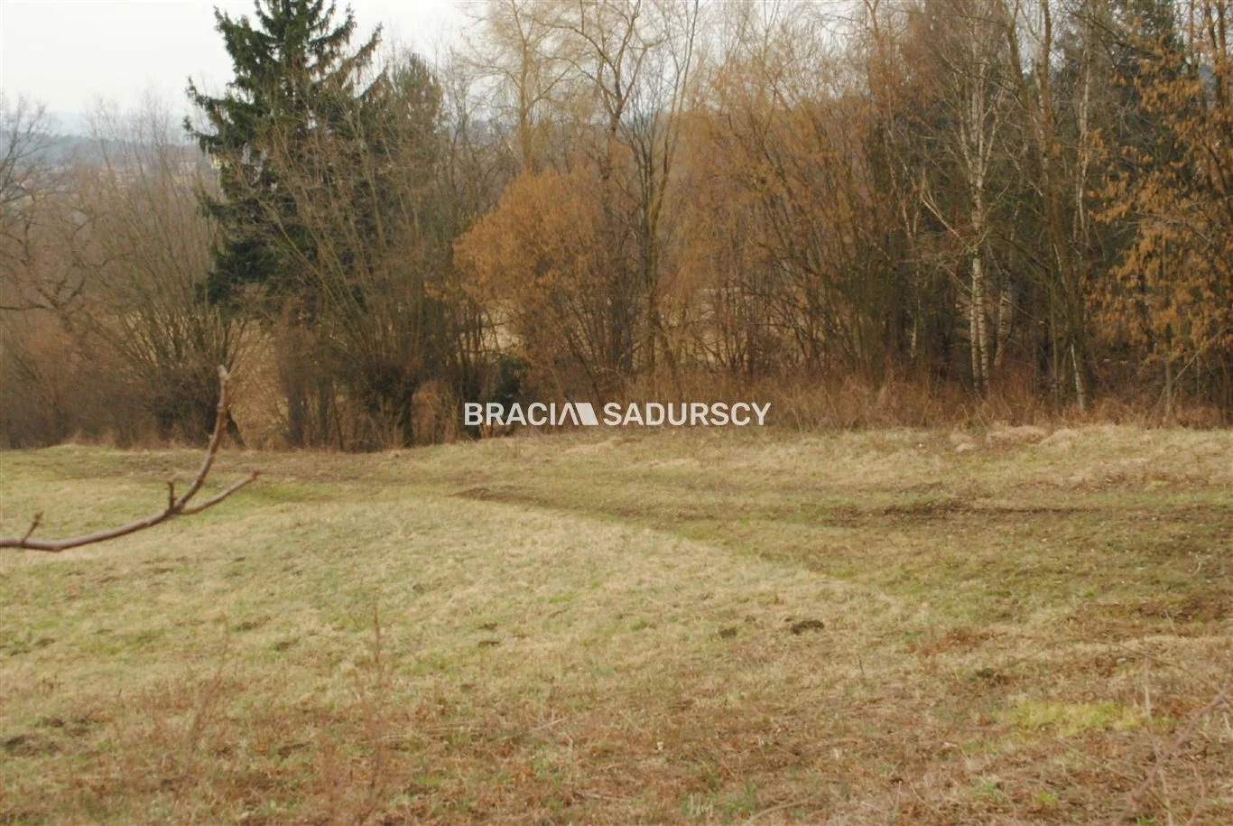 BS1-GS-309580-252 - zdjęcie nr 4