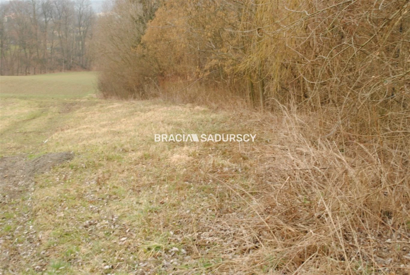 BS1-GS-309580-254 - zdjęcie nr 1