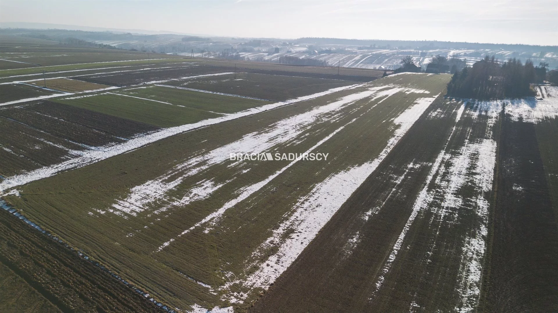 Działka 15 000,00 m², oferta nr , BS4-GS-310895-11, Skała