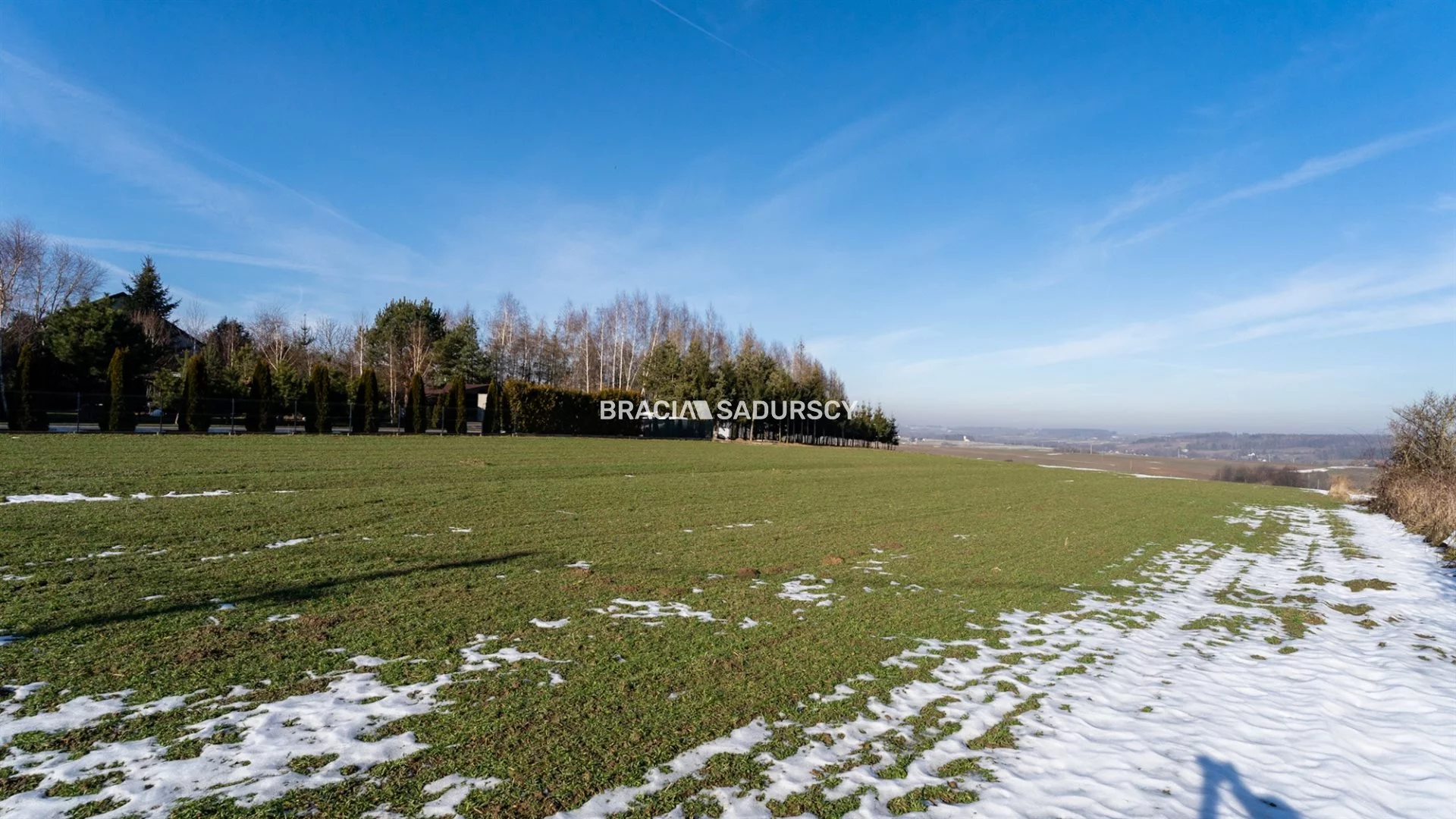 Działka 15 000,00 m², oferta nr , BS4-GS-310895-11, Skała