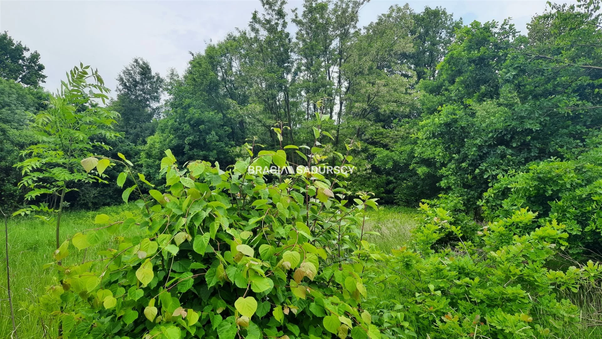 Działka 952,00 m², oferta nr , BS5-GS-301589-48, Skawina