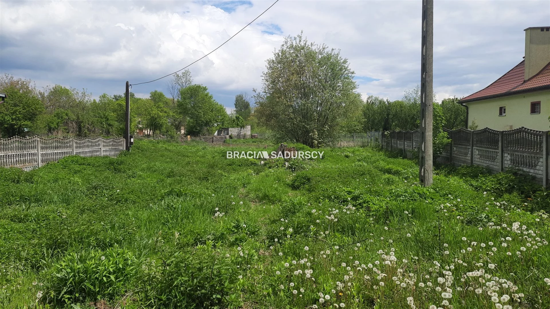 BS5-GS-298660-160 - zdjęcie nr 0