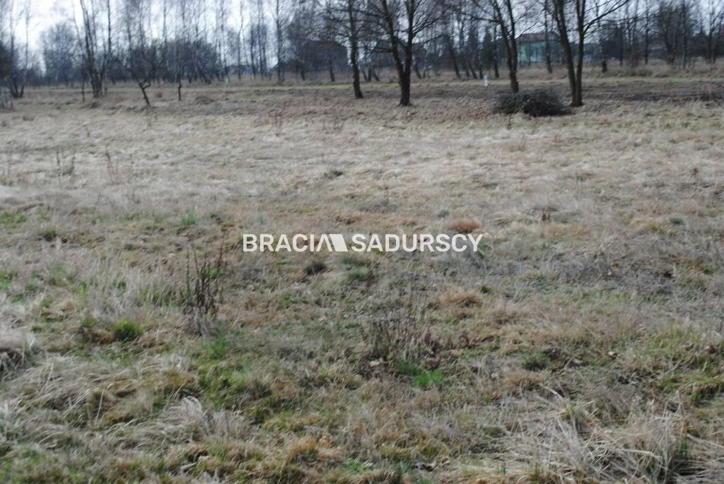 BS1-GS-309595-325 - zdjęcie nr 3