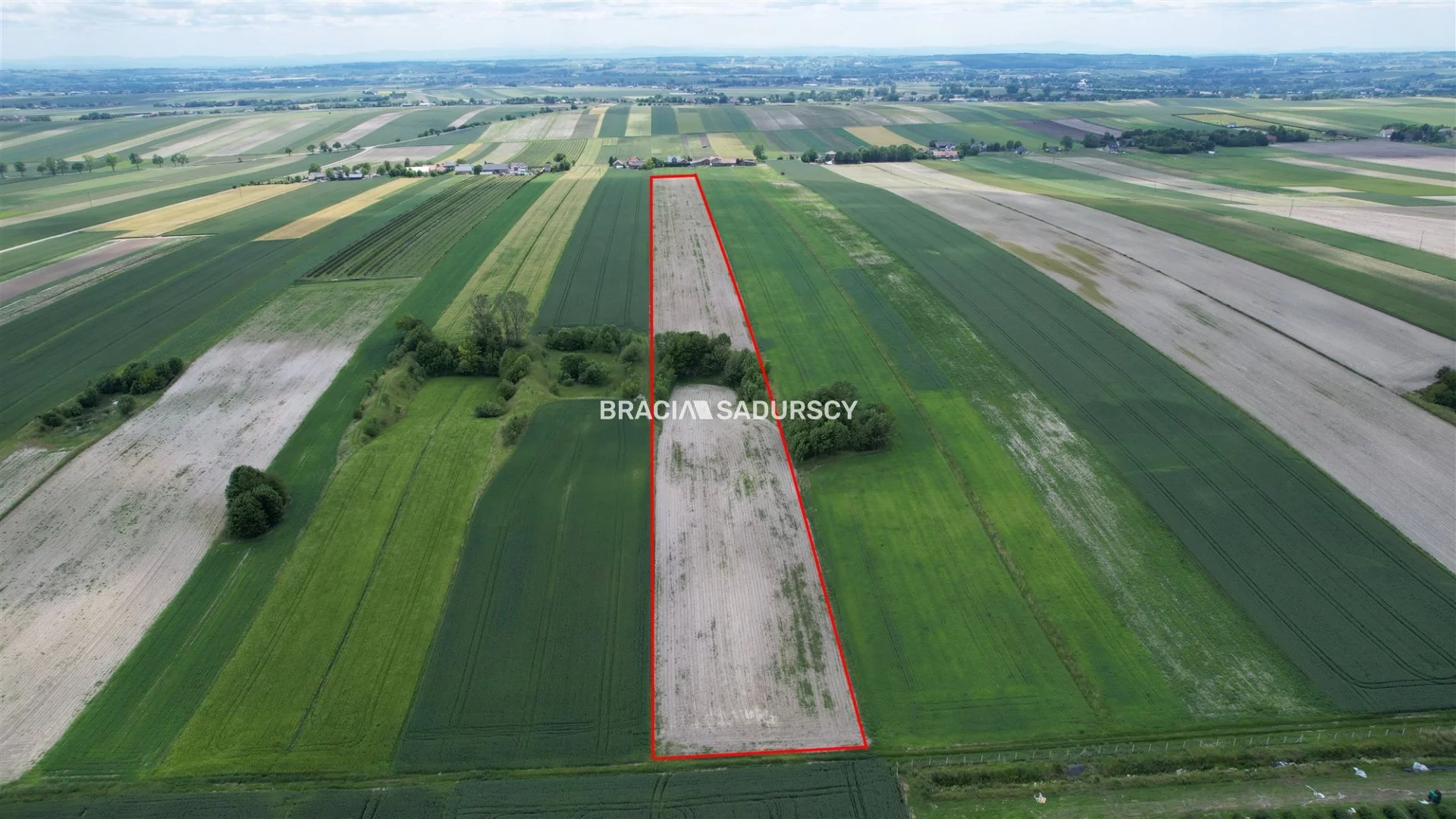 Działka 30 500,00 m², oferta nr , BS5-GS-308740-13, Słomniki