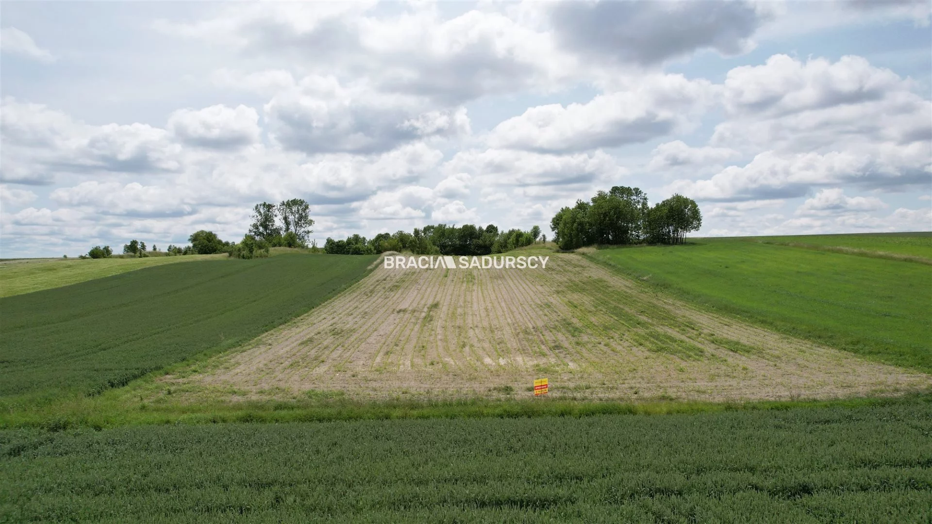 Działka 30 500,00 m², oferta nr , BS5-GS-308740-13, Słomniki