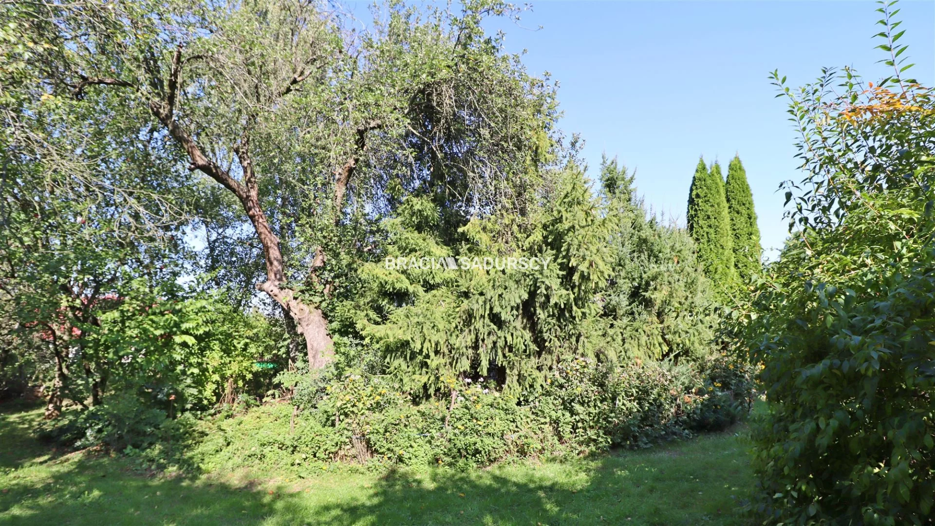 Działka 15 266,00 m², oferta nr , BS5-GS-303671-34, Słomniki