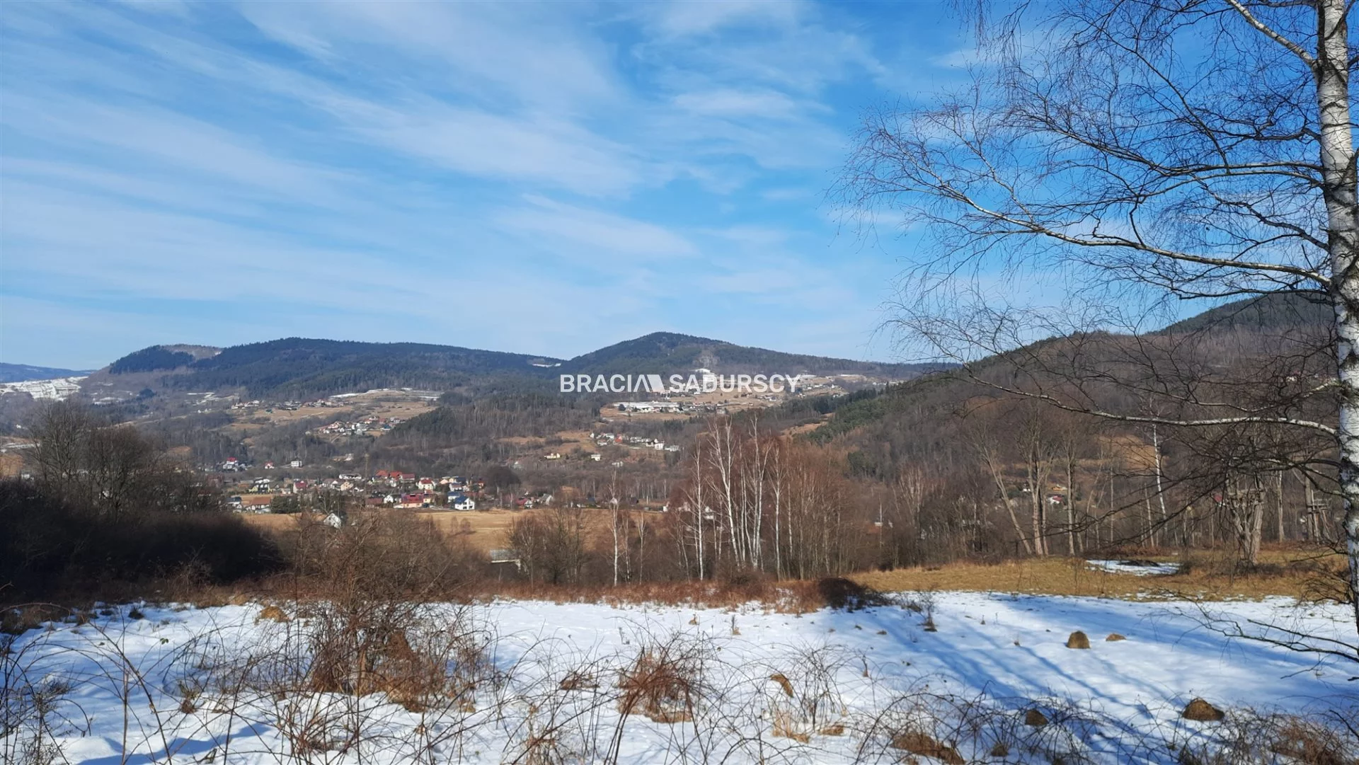 BS5-GS-293492-117 - zdjęcie nr 2