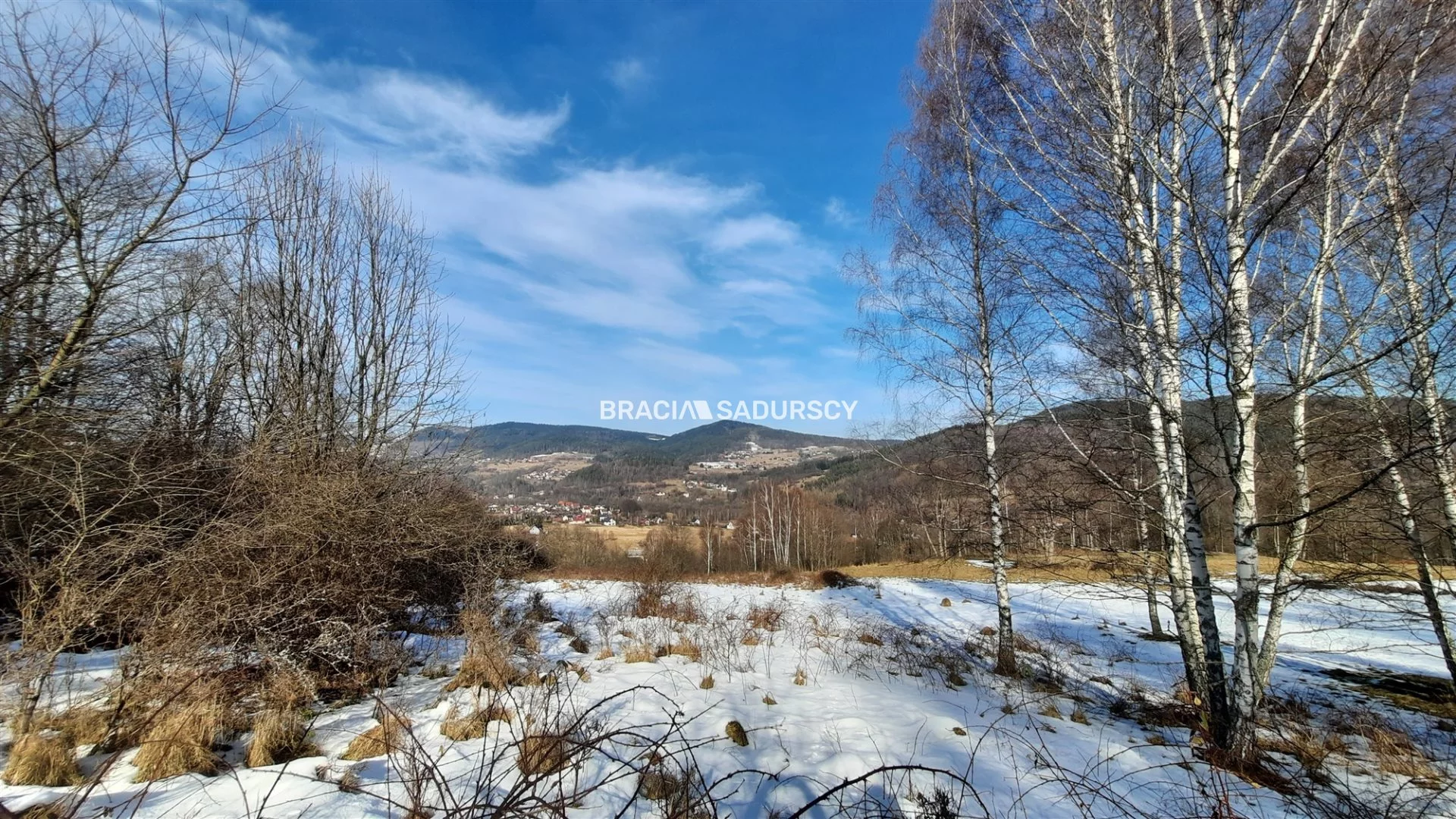 BS5-GS-293492-117 - zdjęcie nr 4