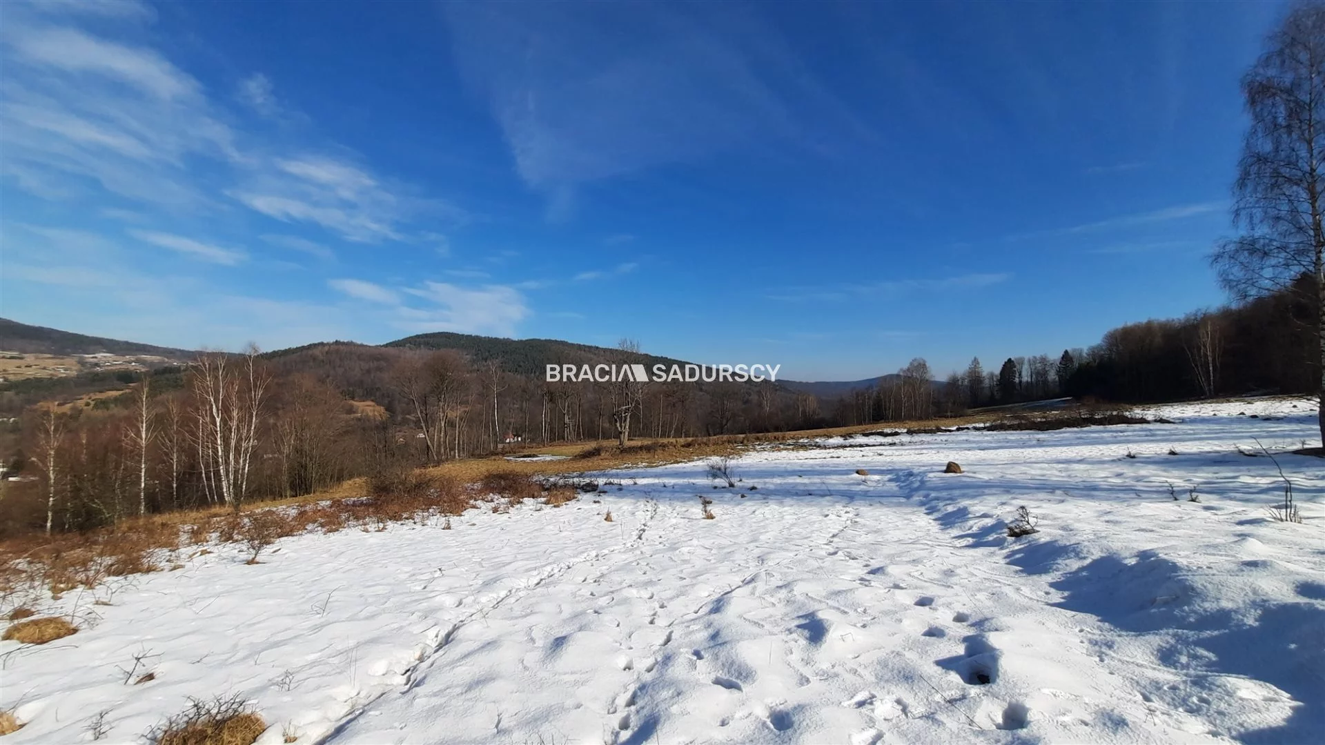 Działka 30 000,00 m², oferta nr , BS5-GS-293492-120, Stryszawa