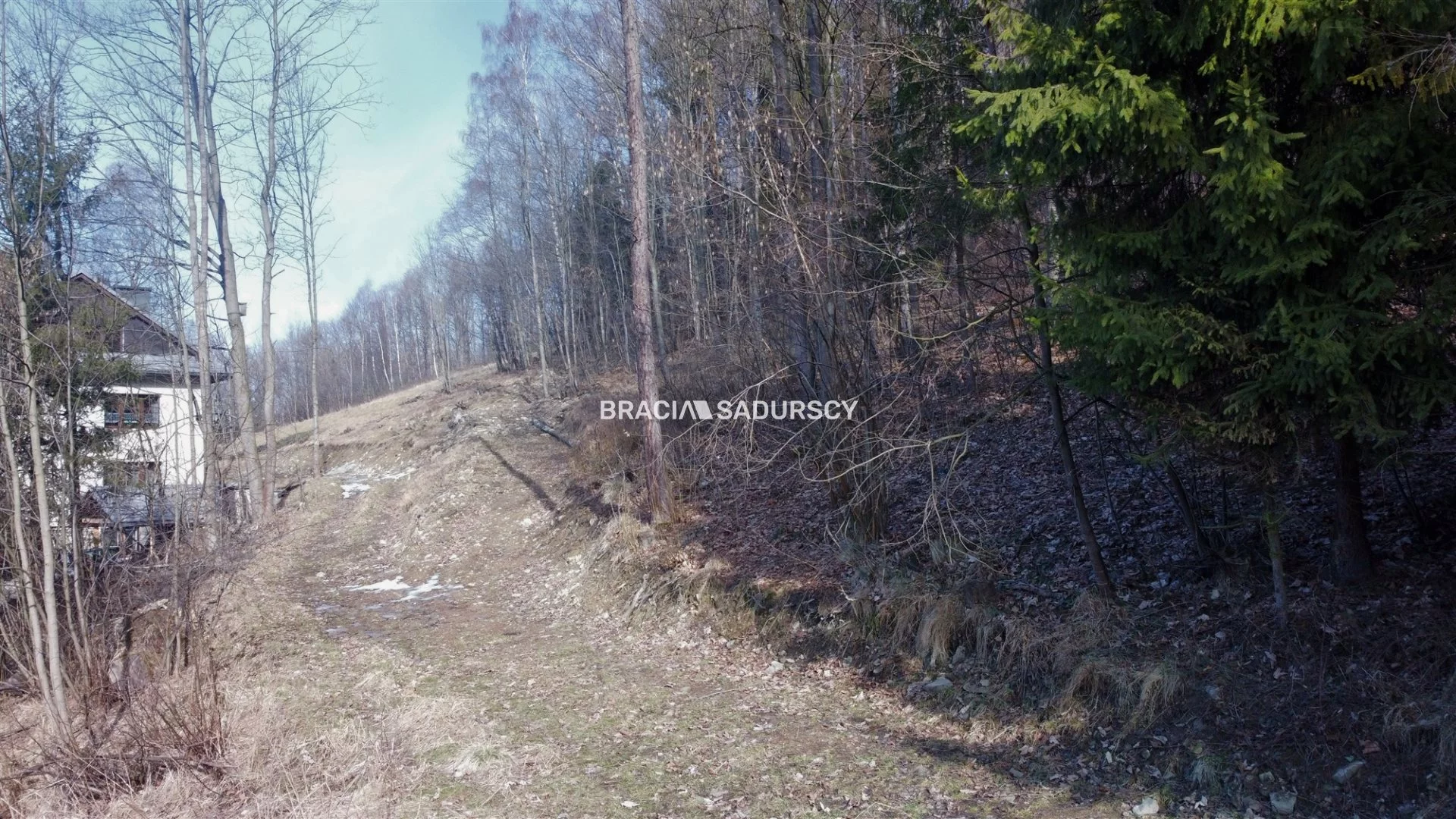 Działka 30 000,00 m², oferta nr , BS5-GS-293492-120, Stryszawa