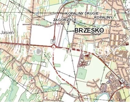 BS2-GS-299863-24 - zdjęcie nr 3
