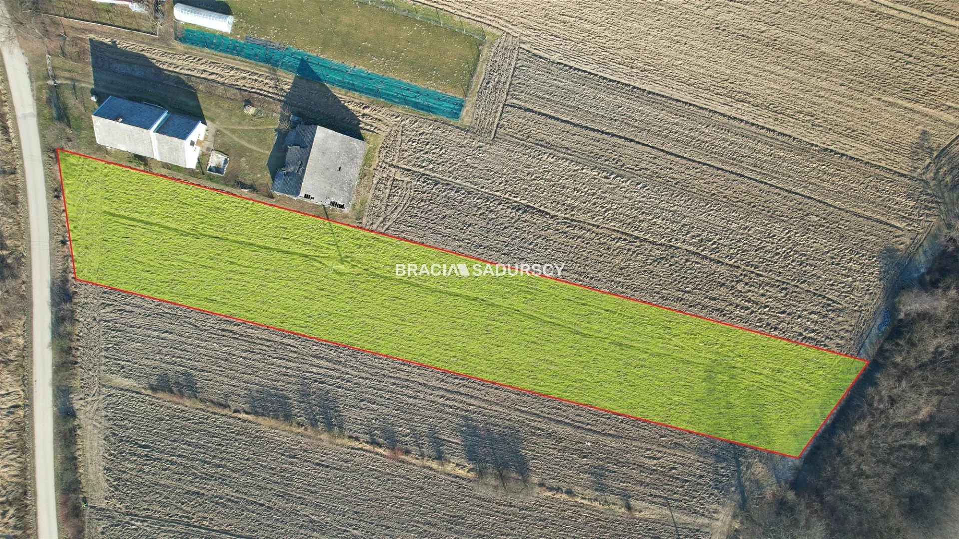 BS5-GS-309556-20 - zdjęcie nr 0