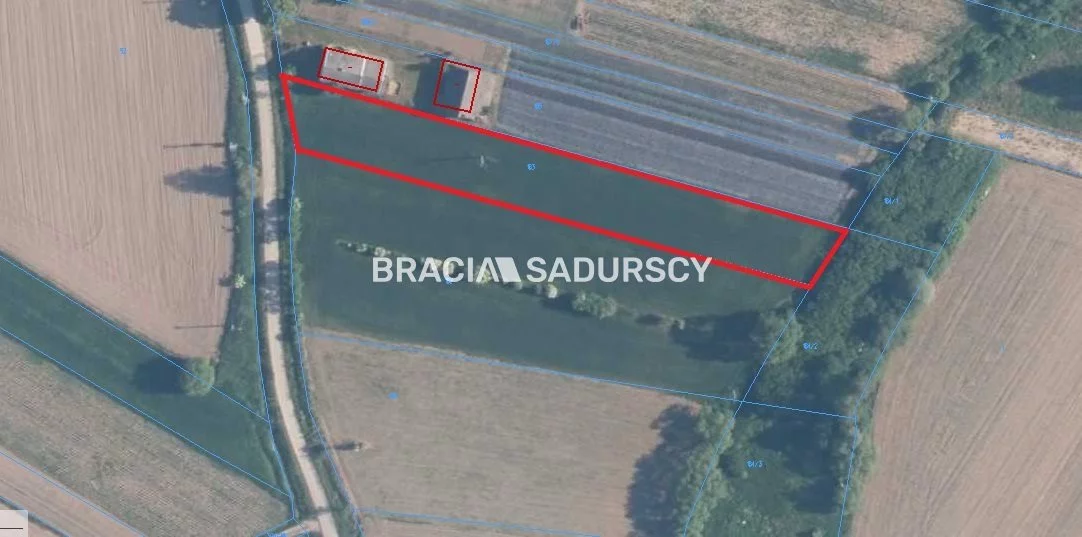BS5-GS-309556-20 - zdjęcie nr 1