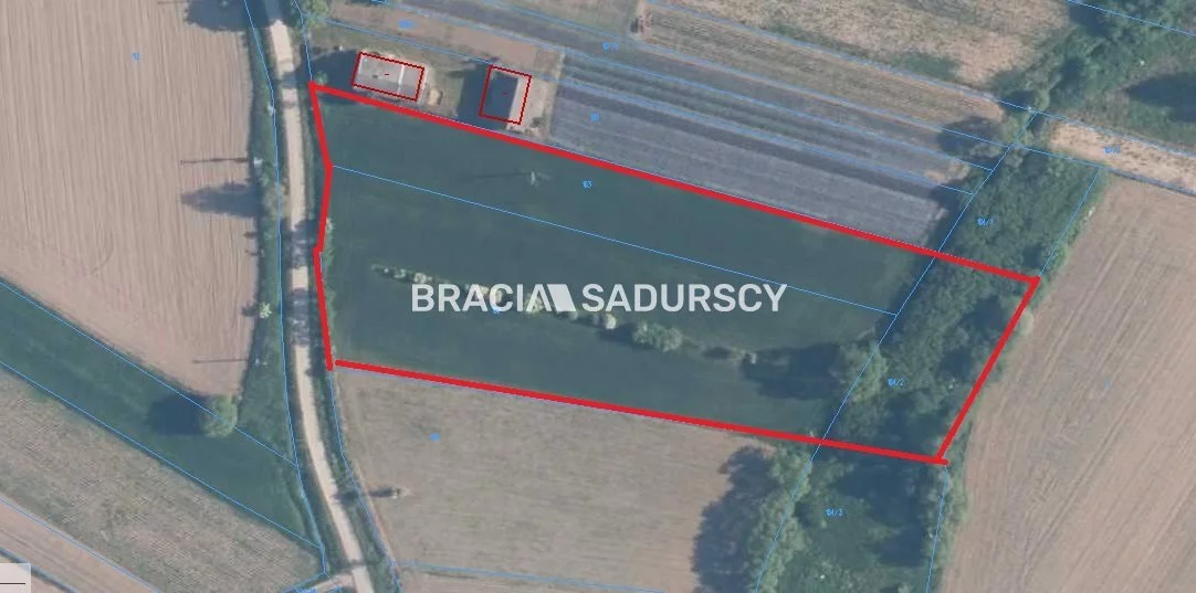 BS5-GS-309561-20 - zdjęcie nr 2