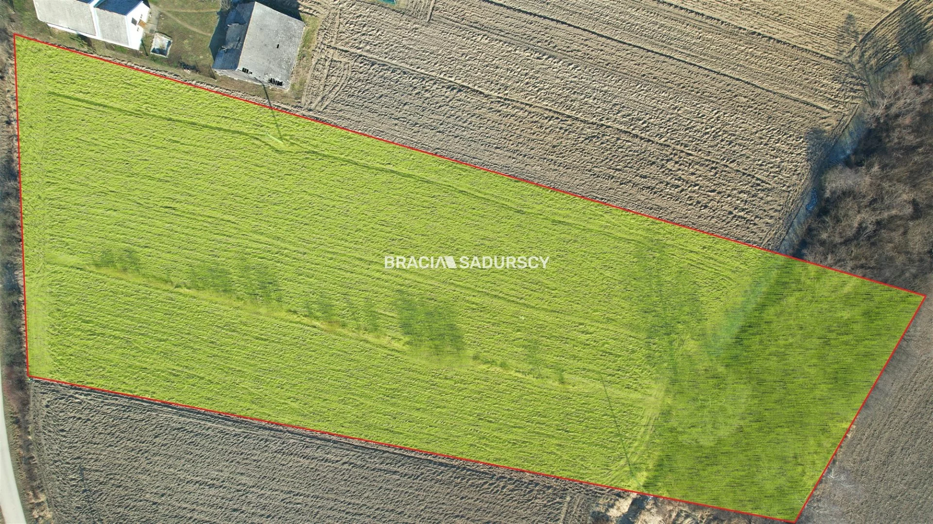 Działka 9 212,00 m², oferta nr , BS5-GS-309561-24, Szczurowa