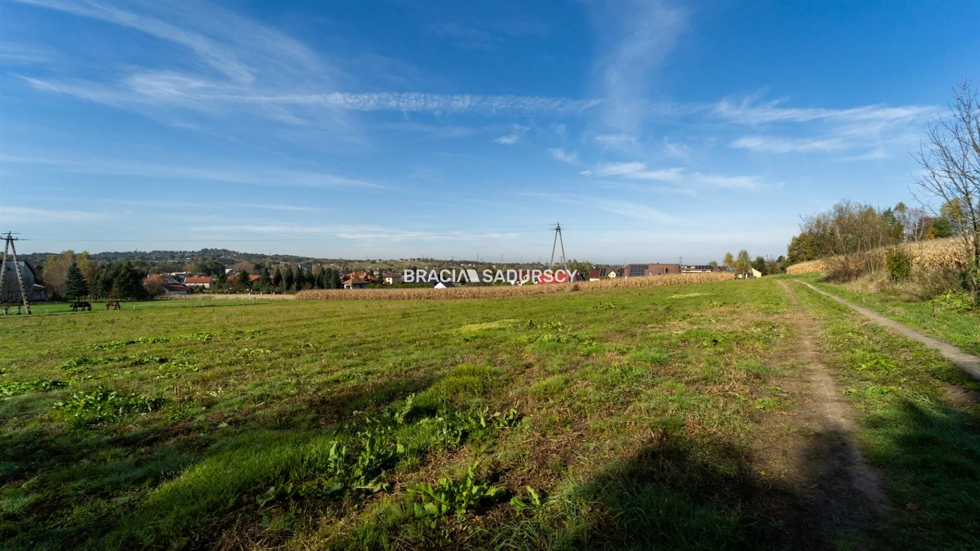 Działka 7 427,00 m², oferta nr , BS3-GS-304285, Skawina, Szkolna